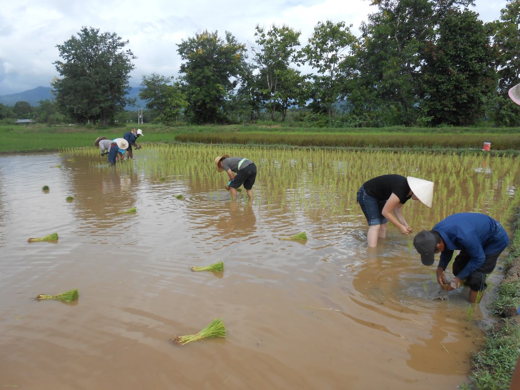 Lead Poisoning Has Caused Thousands of Deaths in Thai&nbsp;Villages